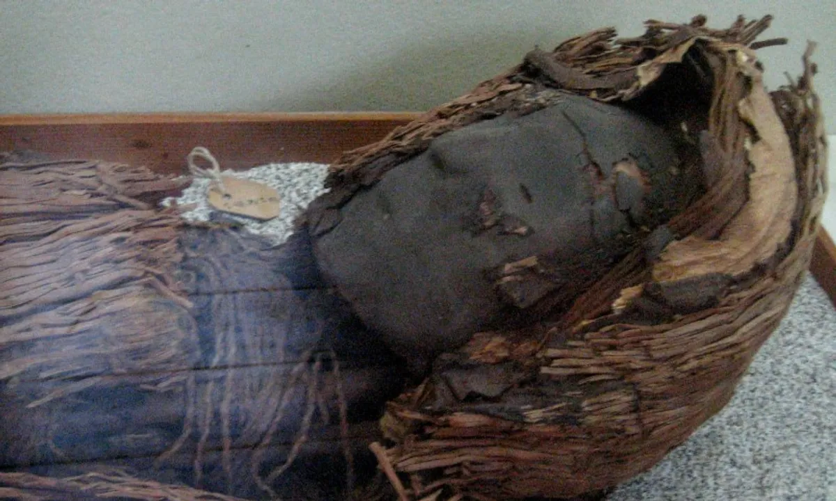 راز مومیایی‌های آتاکاما با مغزهای کوچک | یافته شگفت‌انگیز از گوشه خشک‌ترین بیابان زمین