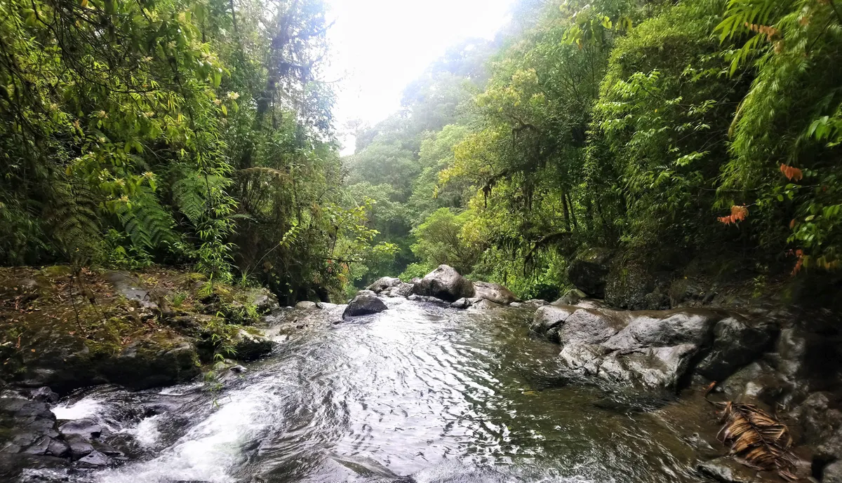 گزارشی تکان‌دهنده از آخرین مرز وحشی جهان؛ جایی که هیچ دولتی کنترل ندارد