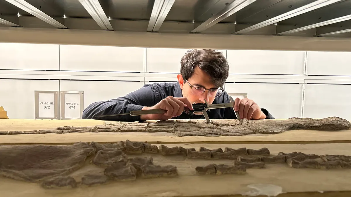 دانشمندان با کمک هوش مصنوعی زمان بازگشت گونه‌های باستانی به دریا را کشف کردند