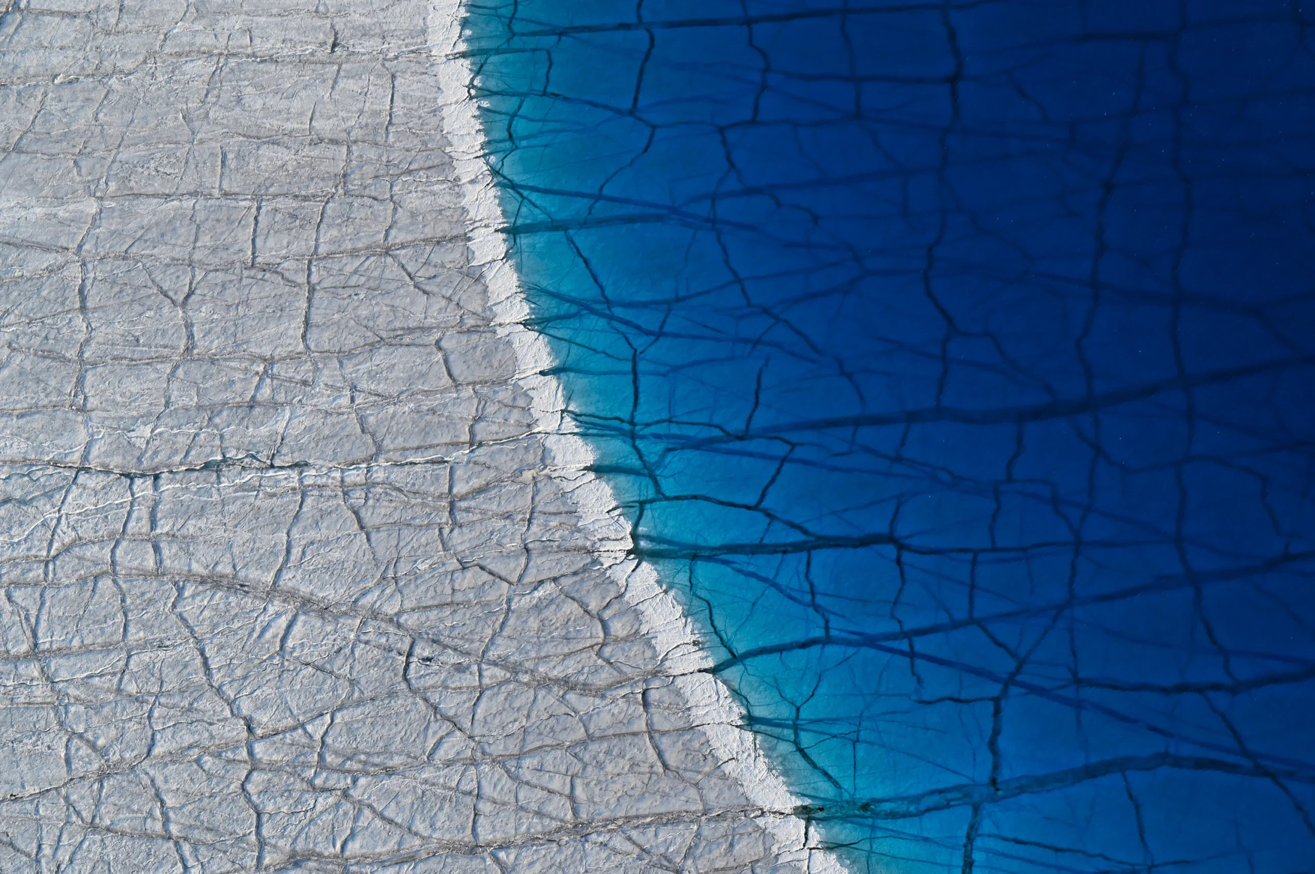 تمساح گلآلود و ترسناک؛ برنده شگفتانگیز مسابقه عکاسی طبیعت ۲۰۲۰ تمساح گلآلود و ترسناک؛ برنده شگفتانگیز مسابقه عکاسی طبیعت ۲۰۲۰