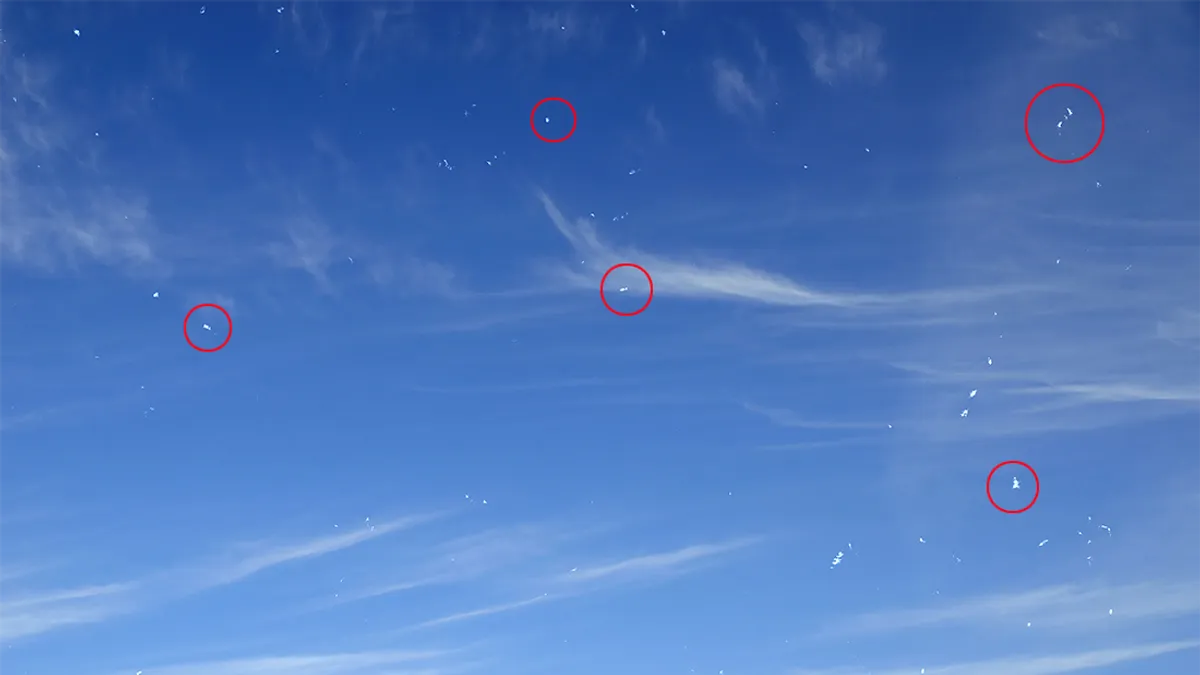 پدیدهٔ شیِرِر چیست؟ ساختارهای سفید ریز که هنگام نگاه به آسمان می‌بینیم اما «فلوتر» نیستند