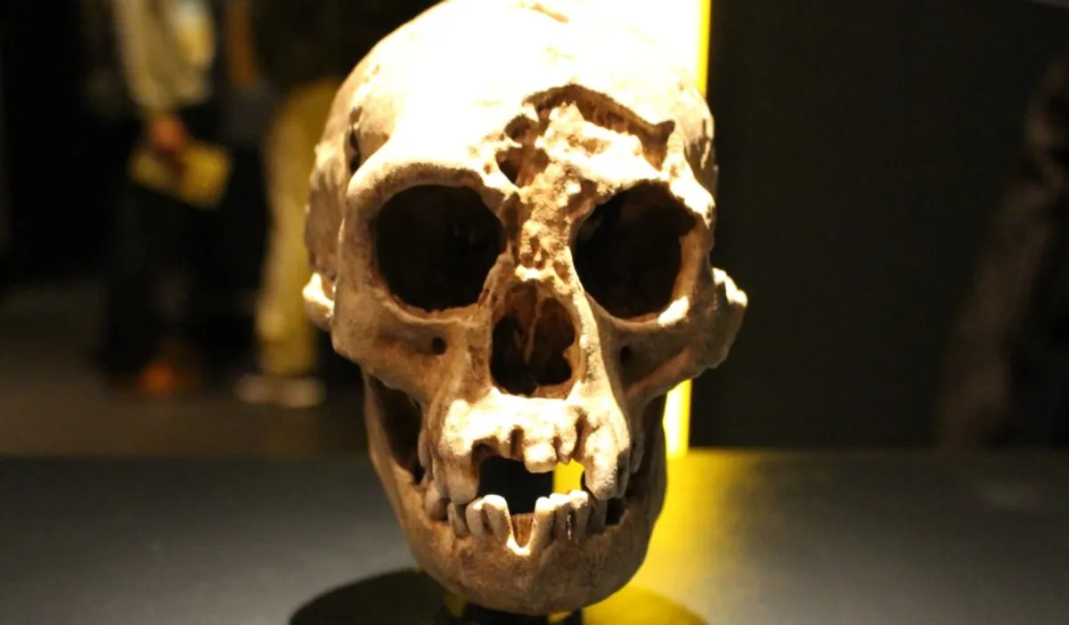 کشف تازه درباره انقراض انسان‌های هابیت