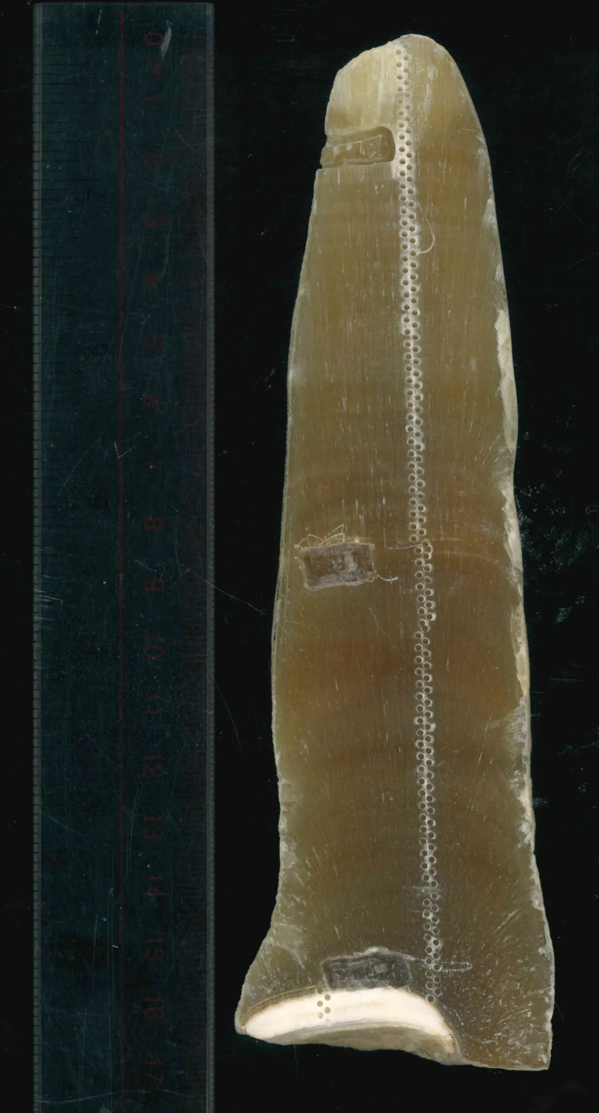 استالاگمیت ۱۸هزارساله راز بزرگ را فاش کرد: چرا تمدن از هلال حاصل‌خیز آغاز شد؟